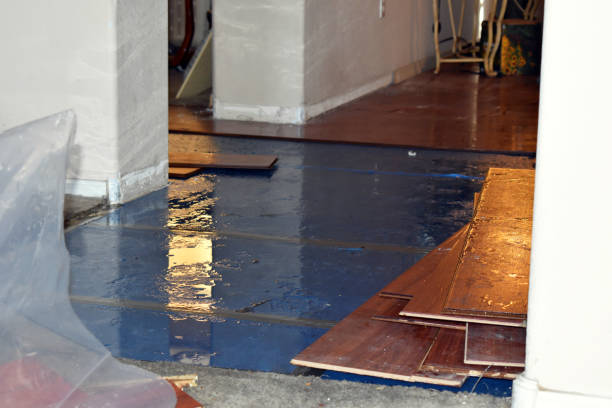 Professional Flood Cleanup technician working in Milan, MO
